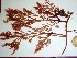  ( - GWS032776)  @11 [ ] Unspecified (default): All Rights Reserved  Unspecified Unspecified