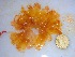  ( - GWS034528)  @11 [ ] Unspecified (default): All Rights Reserved  Unspecified Unspecified