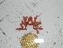  ( - GWS034977)  @11 [ ] Unspecified (default): All Rights Reserved  Unspecified Unspecified