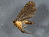  ( - BIOUG02915-A07)  @13 [ ] CreativeCommons - Attribution (2012) CBG Photography Group Centre for Biodiversity Genomics