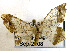 ( - USNM ENT 00642830)  @12 [ ] Unspecified (default): All Rights Reserved  Unspecified Unspecified