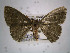  ( - USNM ENT 00643140)  @13 [ ] Unspecified (default): All Rights Reserved  Unspecified Unspecified