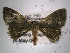  ( - USNM ENT 00643141)  @12 [ ] Unspecified (default): All Rights Reserved  Unspecified Unspecified