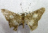  ( - USNM ENT 00643152)  @13 [ ] Unspecified (default): All Rights Reserved  Unspecified Unspecified