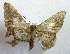  ( - USNM ENT 00643154)  @13 [ ] Unspecified (default): All Rights Reserved  Unspecified Unspecified