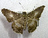  ( - USNM ENT 00643155)  @13 [ ] Unspecified (default): All Rights Reserved  Unspecified Unspecified