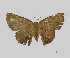  ( - USNM ENT 00643334)  @13 [ ] Unspecified (default): All Rights Reserved  Unspecified Unspecified
