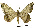  ( - USNM ENT 00643342)  @13 [ ] Unspecified (default): All Rights Reserved  Unspecified Unspecified