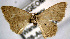  ( - USNM ENT 00644689)  @12 [ ] Unspecified (default): All Rights Reserved  Unspecified Unspecified