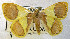  ( - USNM ENT 00646292)  @13 [ ] Unspecified (default): All Rights Reserved  Unspecified Unspecified
