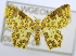 ( - USNM ENT 00720950)  @14 [ ] Unspecified (default): All Rights Reserved  Unspecified Unspecified
