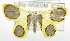  ( - USNM ENT 00722144)  @14 [ ] Unspecified (default): All Rights Reserved  Unspecified Unspecified
