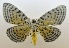  ( - USNM ENT 00722507)  @12 [ ] Unspecified (default): All Rights Reserved  Unspecified Unspecified