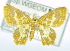  ( - USNM ENT 00722705)  @14 [ ] Unspecified (default): All Rights Reserved  Unspecified Unspecified