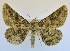  ( - USNM ENT 00723017)  @13 [ ] Unspecified (default): All Rights Reserved  Unspecified Unspecified