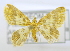  ( - USNM ENT 00723083)  @14 [ ] Unspecified (default): All Rights Reserved  Unspecified Unspecified