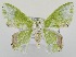  ( - USNM ENT 00723310)  @13 [ ] Unspecified (default): All Rights Reserved  Unspecified Unspecified