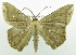  ( - USNM ENT 00723369)  @11 [ ] Unspecified (default): All Rights Reserved  Unspecified Unspecified