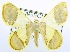  ( - USNM ENT 00729019)  @13 [ ] Unspecified (default): All Rights Reserved  Unspecified Unspecified