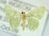  ( - USNM ENT 00729082)  @14 [ ] Unspecified (default): All Rights Reserved  Unspecified Unspecified