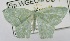  ( - USNM ENT 00729106)  @14 [ ] Unspecified (default): All Rights Reserved  Unspecified Unspecified
