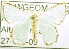  ( - USNM ENT 00729137)  @12 [ ] Unspecified (default): All Rights Reserved  Unspecified Unspecified