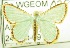  ( - USNM ENT 00729164)  @13 [ ] Unspecified (default): All Rights Reserved  Unspecified Unspecified
