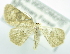  ( - USNM ENT 00729261)  @12 [ ] Unspecified (default): All Rights Reserved  Unspecified Unspecified
