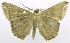  ( - USNM ENT 00729297)  @15 [ ] Unspecified (default): All Rights Reserved  Unspecified Unspecified