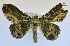  ( - USNM ENT 00729302)  @13 [ ] Unspecified (default): All Rights Reserved  Unspecified Unspecified