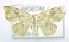  ( - USNM ENT 00729348)  @13 [ ] Unspecified (default): All Rights Reserved  Unspecified Unspecified