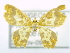  ( - USNM ENT 00729485)  @13 [ ] Unspecified (default): All Rights Reserved  Unspecified Unspecified