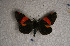  ( - USNM ENT 00722001)  @12 [ ] Unspecified (default): All Rights Reserved  Unspecified Unspecified