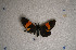 ( - USNM ENT 00722023)  @12 [ ] Unspecified (default): All Rights Reserved  Unspecified Unspecified