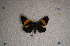  ( - USNM ENT 00722548)  @12 [ ] Unspecified (default): All Rights Reserved  Unspecified Unspecified