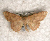  ( - USNM ENT 00722578)  @13 [ ] Unspecified (default): All Rights Reserved  Unspecified Unspecified