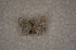  ( - USNM ENT 00729021)  @12 [ ] Unspecified (default): All Rights Reserved  Unspecified Unspecified