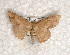  ( - USNM ENT 00729630)  @13 [ ] Unspecified (default): All Rights Reserved  Unspecified Unspecified