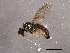  ( - BIOUG02877-D12)  @12 [ ] CreativeCommons - Attribution (2013) CBG Photography Group Centre for Biodiversity Genomics