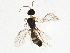  ( - BIOUG01836-F05)  @13 [ ] CreativeCommons - Attribution (2013) CBG Photography Group Centre for Biodiversity Genomics