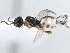  ( - BIOUG01836-G12)  @14 [ ] CreativeCommons - Attribution (2014) CBG Photography Group Centre for Biodiversity Genomics