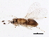  ( - BIOUG02935-A03)  @12 [ ] CreativeCommons - Attribution (2013) CBG Photography Group Centre for Biodiversity Genomics
