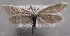  ( - MM24885)  @11 [ ] CreativeCommons - Attribution Non-Commercial (2016) Marko Mutanen University of Oulu