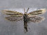  ( - MM26254)  @11 [ ] CreativeCommons - Attribution Non-Commercial (2019) Jukka Tabell University of Oulu