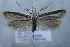  ( - MM26262)  @11 [ ] CreativeCommons - Attribution Non-Commercial (2019) Jukka Tabell University of Oulu