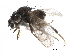  ( - BIOUG26544-A04)  @14 [ ] CreativeCommons - Attribution (2016) CBG Photography Group Centre for Biodiversity Genomics