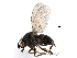  ( - BIOUG26544-B02)  @14 [ ] CreativeCommons - Attribution (2016) CBG Photography Group Centre for Biodiversity Genomics