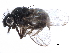  ( - BIOUG26544-C03)  @15 [ ] CreativeCommons - Attribution (2016) CBG Photography Group Centre for Biodiversity Genomics