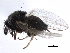  ( - BIOUG26544-D02)  @13 [ ] CreativeCommons - Attribution (2016) CBG Photography Group Centre for Biodiversity Genomics