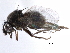  ( - BIOUG26544-D03)  @13 [ ] CreativeCommons - Attribution (2016) CBG Photography Group Centre for Biodiversity Genomics